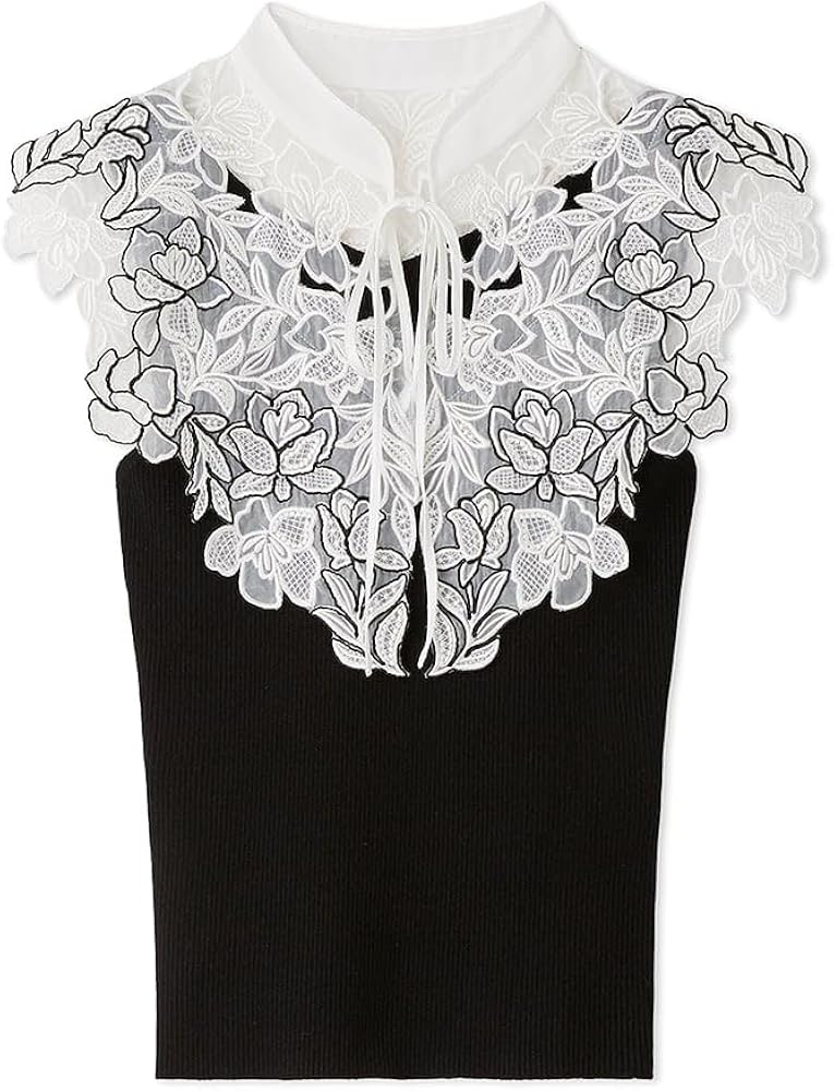 Amazon | [スナイデル] レースカラーノースリニット SWNT242153